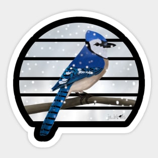 Blue Jay Winter Snow Bird Watching Birding Ornithologist Gift Sticker